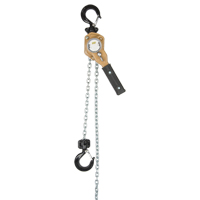 Heavy Duty Gold Series Lever Chain Hoist, 10' Lift, 500 lbs. (0.25 tons) Capacity, Alloy Steel Chain Nia-Chem Ltd.