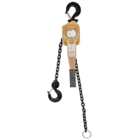 Heavy Duty Gold Series Lever Chain Hoist, 5' Lift, 6000 lbs. (3 tons) Capacity, Alloy Steel Chain Nia-Chem Ltd.