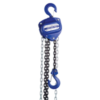Chain Hoist, 10' Lift, 2000 lbs. (1 tons) Capacity, Load Chain Grade 80 Chain LU646 | Nia-Chem Ltd.