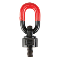 Anneaux de treuil de levage pivotant, 1/4", Longueur du filetage 13 mm, Acier alli&eacute; Nia-Chem Ltd.