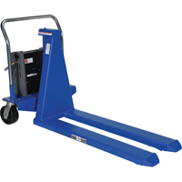 Electric Skid Lift, Steel, 2500 lbs. Capacity Nia-Chem Ltd.