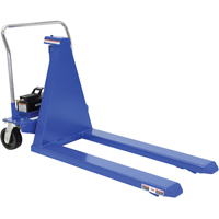 Electric Skid Lift, Steel, 2500 lbs. Capacity Nia-Chem Ltd.