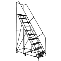 All Directional Ladders, 10 Steps, 24" Step Width, 100" Platform Height, Steel Nia-Chem Ltd.