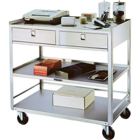 Supports en acier inoxydable pour &eacute;quipement, 300 lb Capacit&eacute;, Acier inoxydable, 20"/20-1/8" x la, 35" x ha, 37"/36-3/8" p, D&eacute;mont&eacute;, 2 tirroirs Nia-Chem Ltd.