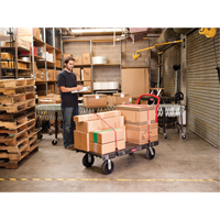 Heavy-Duty Platform Truck, 36" L x 24" W, 1000 lbs. Cap., Rubber Wheels Nia-Chem Ltd.