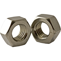 Hex Nut, 7/8", Stainless Steel, Coarse Thread Nia-Chem Ltd.