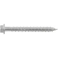 Vis de scellement Aggre-Gator, 1/4" x 1-1/4" lo, Acier inoxydable Nia-Chem Ltd.