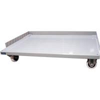 Mobile Dolly Base for Deep Door Storage Cabinets, 38" W x 24" D x 7" H, 1500 lbs. Capacity Nia-Chem Ltd.