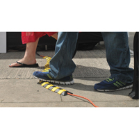 Syst&egrave;me de protection de c&acirc;bles Ultra-Sidewinder - petit , 13,125" x 3" x 0,75", 32000 lb (16 tonnes) Nia-Chem Ltd.