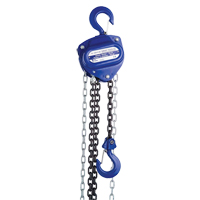 Chain Hoist, 20' Lift, 1000 lbs. (0.5 tons) Capacity, Load Chain Grade 80 Chain LU643 | Nia-Chem Ltd.