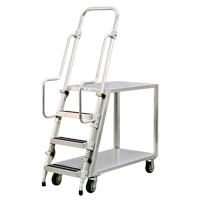 Chariot de pr&eacute;paration en aluminium avec &eacute;chelle, Aluminium, 22" la x 51-1/2" p, 2 tablettes, Capacit&eacute; 800 lb Nia-Chem Ltd.