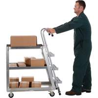 Chariot de pr&eacute;l&egrave;vement de stock, Aluminium, 21-7/8" la x 40" p, 3 tablettes, Capacit&eacute; 660 lb Nia-Chem Ltd.