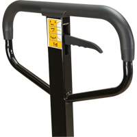 Transpalette manuel, Acier, 48" lo x 27" la, Capacit&eacute; 5500 lb Nia-Chem Ltd.