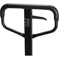 Transpalette &agrave; roues en acier, Acier, 48" lo x 27" la, Capacit&eacute; 5500 lb Nia-Chem Ltd.