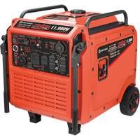 Tri-Fuel Inverter Generator Nia-Chem Ltd.