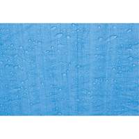 B&acirc;che, Standard, Bleu, 7' x 5' x 4 mils Nia-Chem Ltd.