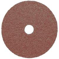 Resin Fibre Sanding Disc, Aluminum Oxide, A16, 5" Dia x 7/8" Arbor Nia-Chem Ltd.