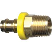 Grip-Tite Male Pipe Hose Fitting, 1/4" x 1/4" Dia, Brass Nia-Chem Ltd.