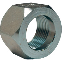 Dixon&reg; Mining Hex Nut, 1", Zinc Plated, NPT Thread Nia-Chem Ltd.