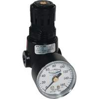 Wilkerson Miniature Regulator R04, 1/4" NPT, 300 psi Max. PSI, Standard Nia-Chem Ltd.