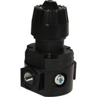 Wilkerson Compact Regulator R16, 1/4" NPT, 300 psi Max. PSI, Standard Nia-Chem Ltd.