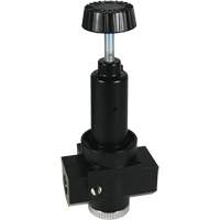Wilkerson High Flow Regulator R30, 3/4" NPT, 300 psi Max. PSI, Standard Nia-Chem Ltd.
