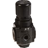 Series 1 Manifold Regulator, 1/4" NPT, 150 PSI Max. PSI, Standard Nia-Chem Ltd.