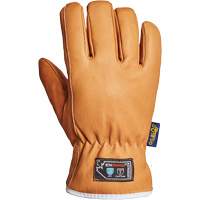 Endura&reg; Gloves, Large, Synthetic Palm, Thinsulate Inner Lining Nia-Chem Ltd.