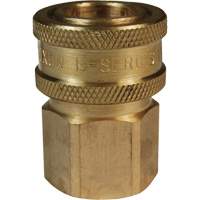 DQC E-Series Straight-Through Interchange Coupler, Brass, 3/4", Female NPTF, 1700 PSI Nia-Chem Ltd.