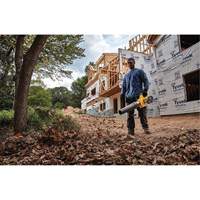 Ventilateur axial &agrave; main sans fil sans balai Max* FlexVolt, 60 V, Vitesse d'air 125 mi/h, &agrave; pile Nia-Chem Ltd.