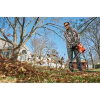 3-in-1 VacPack Leaf Blower/Vacuum/Mulcher, 250 MPH Output, Electric Nia-Chem Ltd.