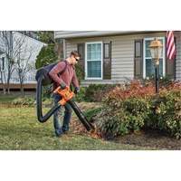 3-in-1 VacPack Leaf Blower/Vacuum/Mulcher, 250 MPH Output, Electric Nia-Chem Ltd.