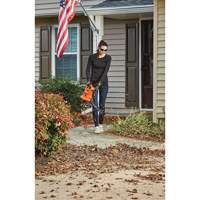 3-in-1 VacPack Leaf Blower/Vacuum/Mulcher, 250 MPH Output, Electric Nia-Chem Ltd.