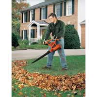 Leaf Blower/Vacuum/Mulcher, 210 MPH Output, Electric Nia-Chem Ltd.