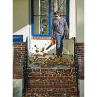Leaf Blower, 180 MPH Output, Electric Nia-Chem Ltd.