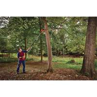 2-in-1 Pole Chainsaw Nia-Chem Ltd.