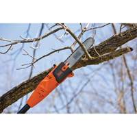 9-1/2' Pole Saw Nia-Chem Ltd.