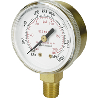 Brass Gauge, 2" , 100 psi, Bottom Mount, Analogue NT616 | Nia-Chem Ltd.