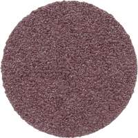 PSA Cloth Disc 348D, 20" Dia., 60 Grit, Aluminum Oxide Nia-Chem Ltd.