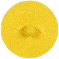 Scotch-Brite™ Roloc™ Bristle Disc, Ceramic, Medium Grit, 2" Dia. NU190 | Nia-Chem Ltd.