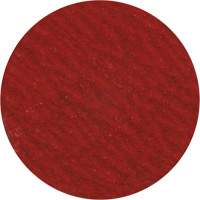 Disque de ponçage 3" &agrave; support verrouillable, 3" dia., Grain 36, C&eacute;ramique Nia-Chem Ltd.