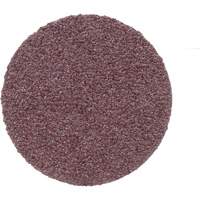 Disque de conditionnement de surface, 1" dia., Grain P100, Oxyde d'aluminium Nia-Chem Ltd.