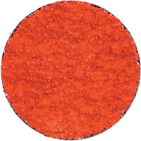 Disques en tissu &agrave; remplacement rapide Blaze R980P, 2" dia., Grain 36, C&eacute;ramique d'alumine Nia-Chem Ltd.