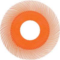 Brosse radiale en soies de pr&eacute;cision type C PN-RB sans adaptateur Scotch-Brite , C&eacute;ramique, Grain 80+, 6" dia. Nia-Chem Ltd.