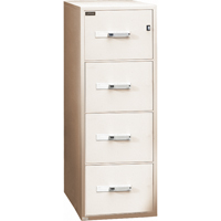 Fire Resistant Filing Cabinets, Steel, 4 Drawers, 19-3/4" W x 31" D x 54" H, Beige Nia-Chem Ltd.