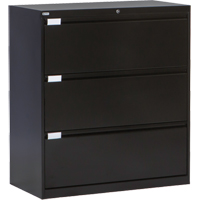 Lateral Filing Cabinet, Steel, 3 Drawers, 36" W x 18" D x 40-1/16" H, Black OP216 | Nia-Chem Ltd.