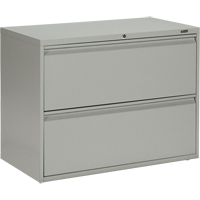 Lateral Cabinet, Steel, 2 Drawers, 36" W x 19-1/4" D x 27-31/100" H, Grey OP325 | Nia-Chem Ltd.