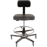 TF160™ Industrial Grade Ergonomic Chair, Mobile, Adjustable, 20-1/2" - 28-1/2", Vinyl Seat, Black/Grey OP491 | Nia-Chem Ltd.