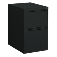 Vertical Filing Cabinet, Steel, 2 Drawers, 18-1/7" W x 25" D x 29" H, Black OP913 | Nia-Chem Ltd.