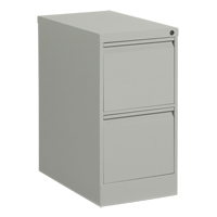 Vertical Filing Cabinet, Steel, 2 Drawers, 15-1/7" W x 25" D x 29" H, Grey OP916 | Nia-Chem Ltd.